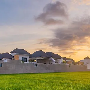 https://hedonia-luxury-villas.hotelsseminyak.net